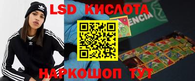 дживик Кингисепп