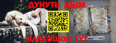 дживик Кингисепп