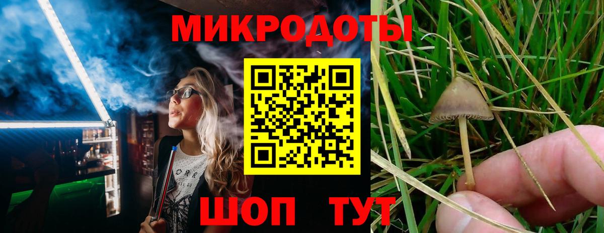 Красноуфимск  Псилоцибиновые грибы мухоморы  Вход с VPN 